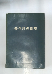 矢作川の自然