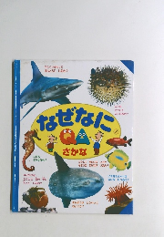 なぜなにQAさかな