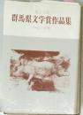 群馬県文学賞作品集