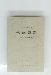 向江遺跡　1980年