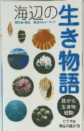 海辺の生き物語