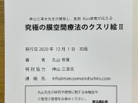 神山三津夫先生が開発し、医師丸山修寛が伝える　究極の膜空間療法のクスリ絵　2