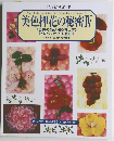 美色押花の秘密Ⅳ <自然の色が残る押し方〉