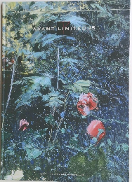 AVANT LIMITED 25
