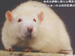 月刊 ダイジェスト　2004年5月号