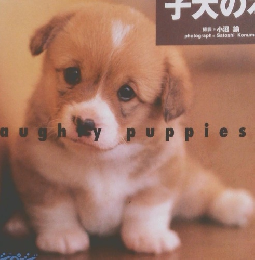 子犬の本