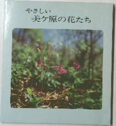やさしい 美ヶ原の花たち
