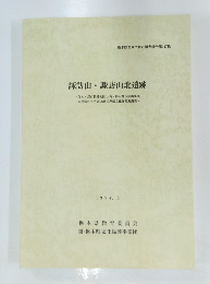 諏訪山・諏訪山北遺跡　1994年3月号