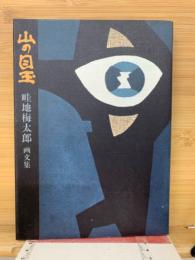 山の目玉 : 畦地梅太郎画文集
