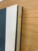 山の目玉 : 畦地梅太郎画文集