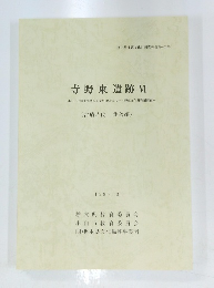寺野東遺跡 VI　古墳時代 集落編　1997年3月号