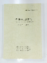 寺野東遺跡 VI　古墳時代 集落編　1997年3月号