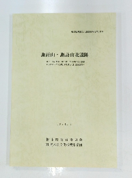 諏訪山・ 諏訪山北遺跡　1994　3