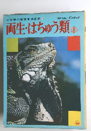 両生・はちゅう類　小学館の学習百科図鑑 36