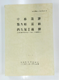 中林遺跡 鷺久根遺跡 西久保Ⅱ遺跡　1997年3月号