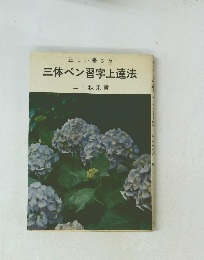 正しい書き方 三体ペン習字上達法 