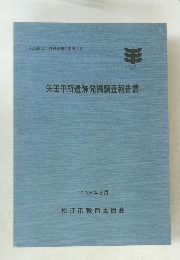 矢田平所遺跡発掘調査報告書