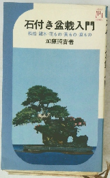 石付き盆栽入門