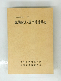 諏訪前A・道半地遺跡他