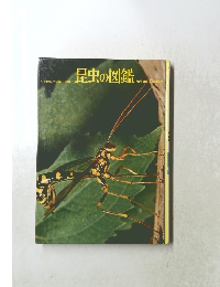 昆虫の図鑑 Wide Color