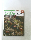 しぜん　10