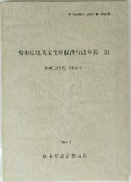 栃木県埋蔵文化財保護行政年報 31