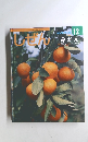 しぜん キンダーブック12　みかん