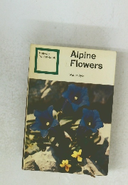 Alpine　Flowers