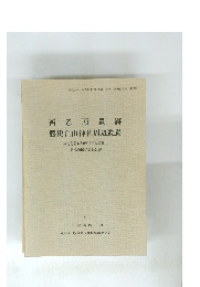西乙原遺跡 勝更白山神社周辺遺跡　 1995