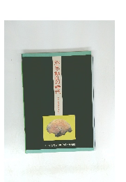 弥生・動乱の時代