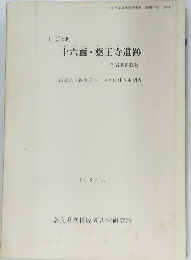 十六面・薬王寺遺跡　１９８２年３月号