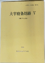 大宰府条坊跡 V 1989