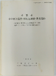 千葉市　小中台(2)遺跡・新堀込遺跡・馬場遺跡　１９８９年