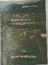 上淀廃寺 Ⅲ　第4次発掘調査概要報告書　1993