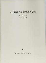 島田市埋蔵文化財調査報告　1980