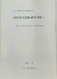 前田墓所遺跡調査概報II