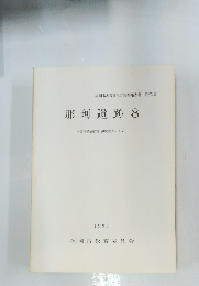 那珂遺跡　8　１９９３年