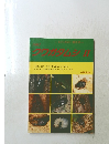 クワガタムシ　II　1992年