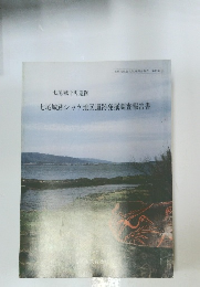 七尾城跡シッケ地区遺跡発掘調査報告書