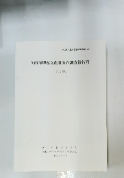 立山町埋蔵文化財分布調査報告VIII 1992年度