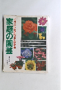 家庭の園芸　イラストだからよくわかる