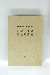 月繩手遺跡　貴生町遺跡　1990年