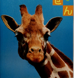 キンダーブック　しぜん　きりん　5