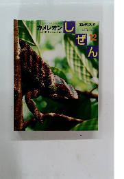 カメレオン キンダーブック しぜん 12