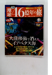 地球46億年の旅　13