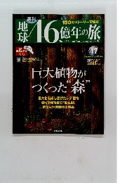 地球46億年の旅　17