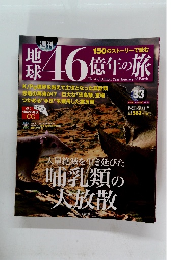 地球46億年の旅　33