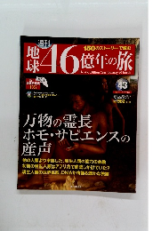 地球46億年の旅　43