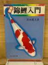 錦鯉入門