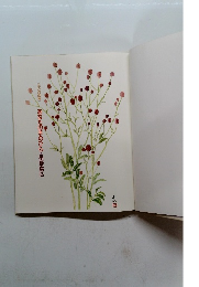 あなたの手のひら